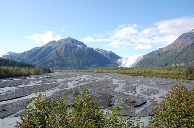 Braided stream with Exit Glacier in the background