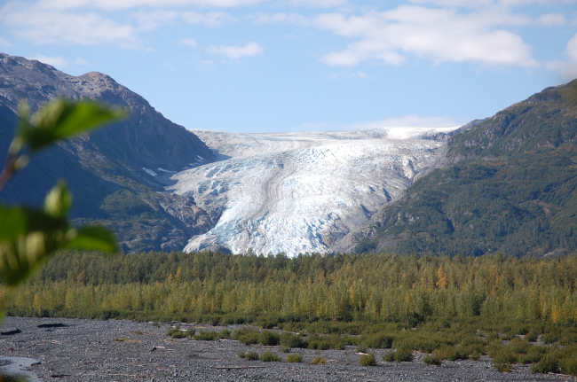 Exit Glacier