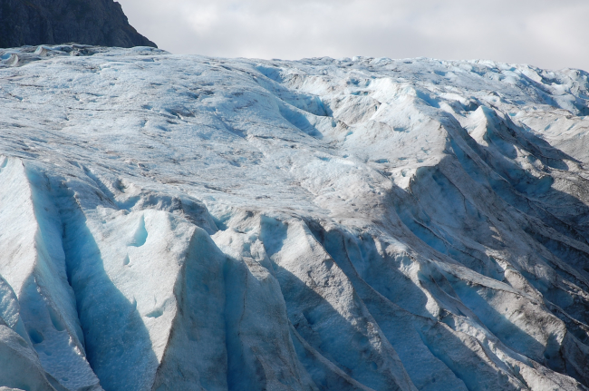 Exit Glacier