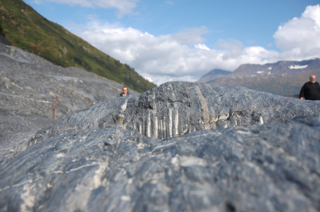 Metamorphic rock with glacial striations angled at about 30 degrees to thelayering of the rock