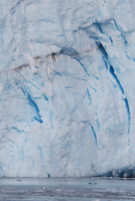 Aialik Glacier terminus prior to calving