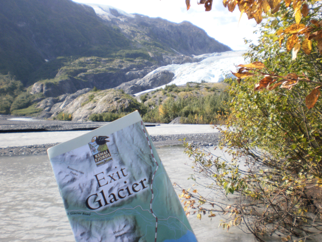 Braided meltwater stream flowing from Exit glacier