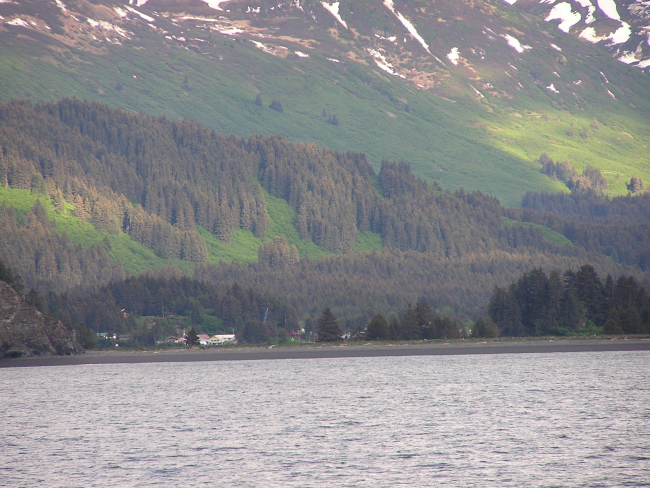 A view at Homer