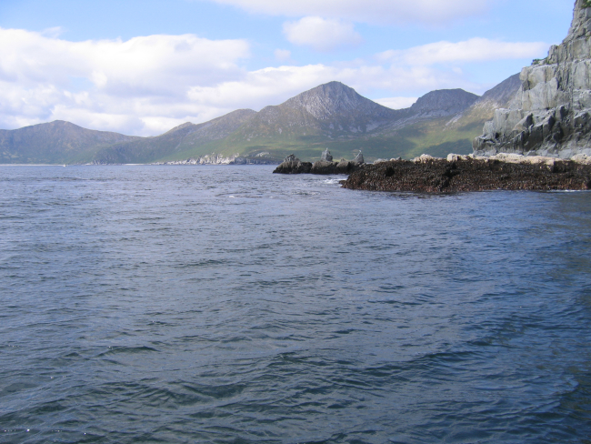 Low tide on Kachemak Bay