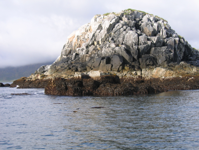 A rounded rock with well-defined jointing seen at low tide