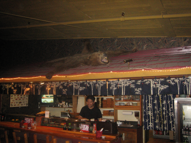 A Kodiak bar and grill caught somewhere between tropical wishful thinking andthe reality of a large Kodiak brown bear skin