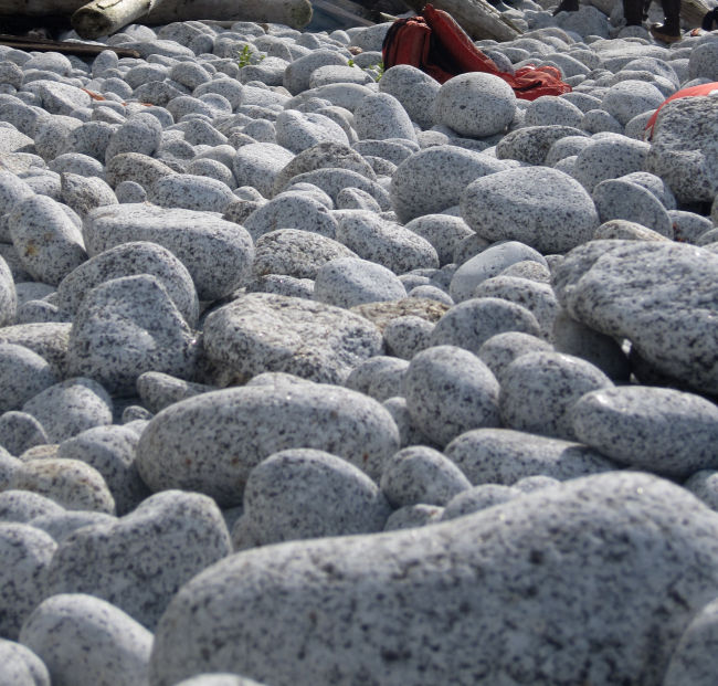 Boulders rounded from incessant pounding of the waves during winter stormscover a Shumagin Island beach