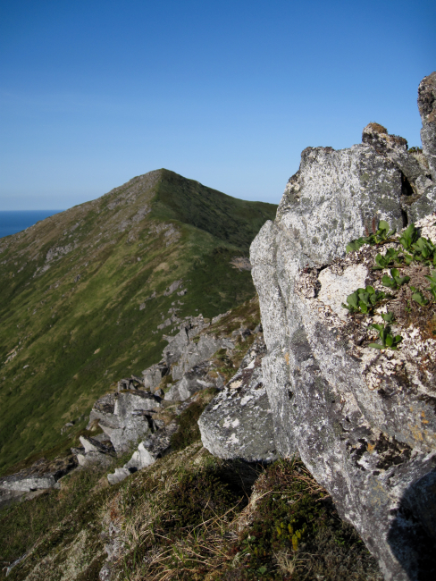 Black, orange, and white lichens cover a rock outcrop on a Shumagin Islandridge