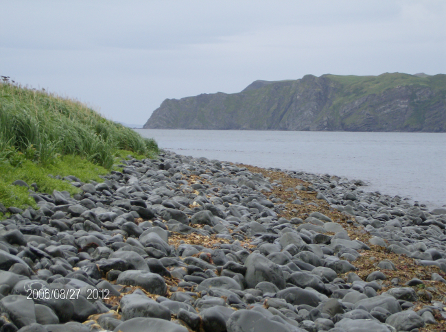 A boulder beach with not yet rounded boulders