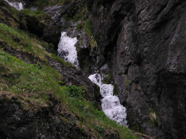 One can almost hear the babbling of this brook as it heads down a Little Koniuji Island slope to the sea