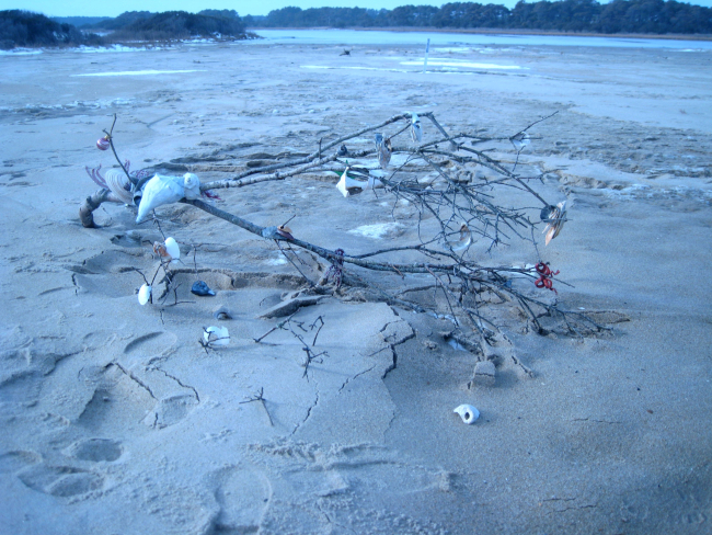 A Christmas tree for beach combers