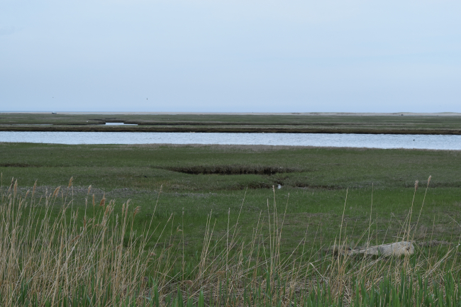 Nauset Marsh on Cape Cod National Seashore
