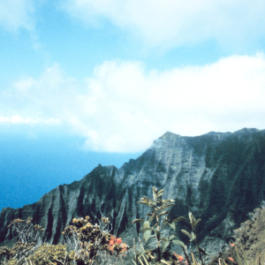 A knife-edge ridge trailing down to the sea