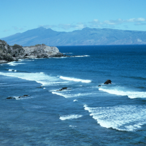 Hawea Point